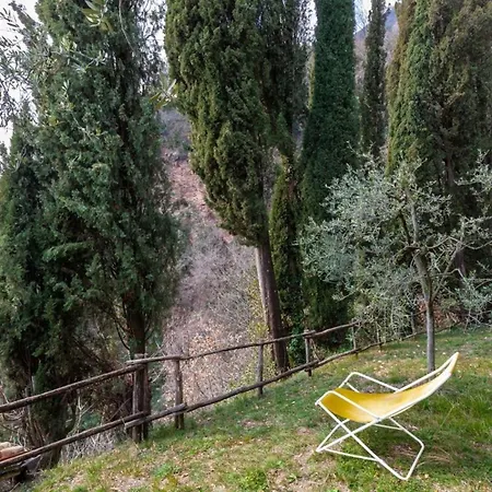 Apartman Antike Limonaia - Belvedere